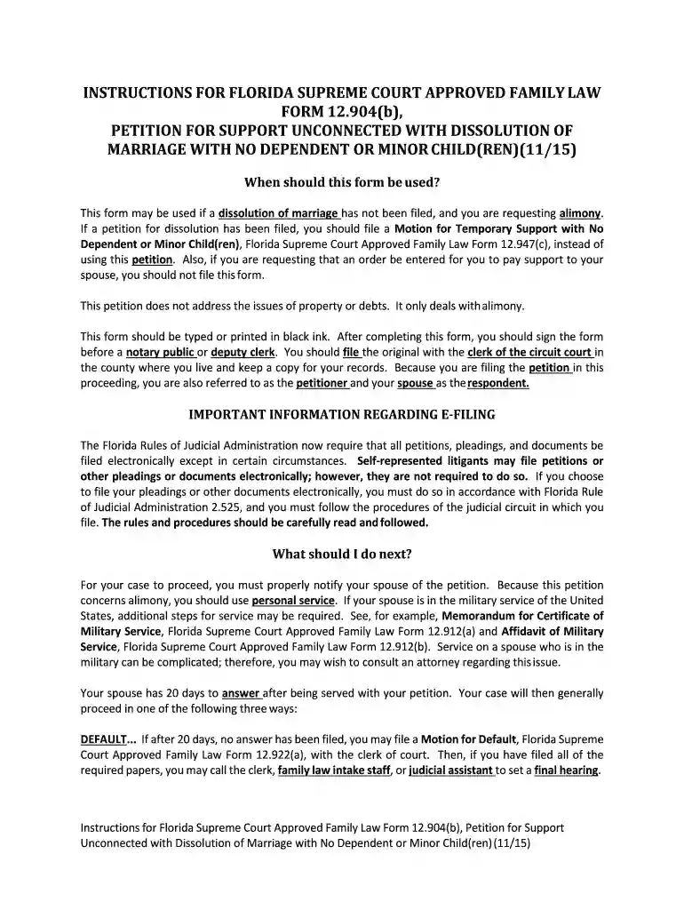 petition for support Preview on Page 1