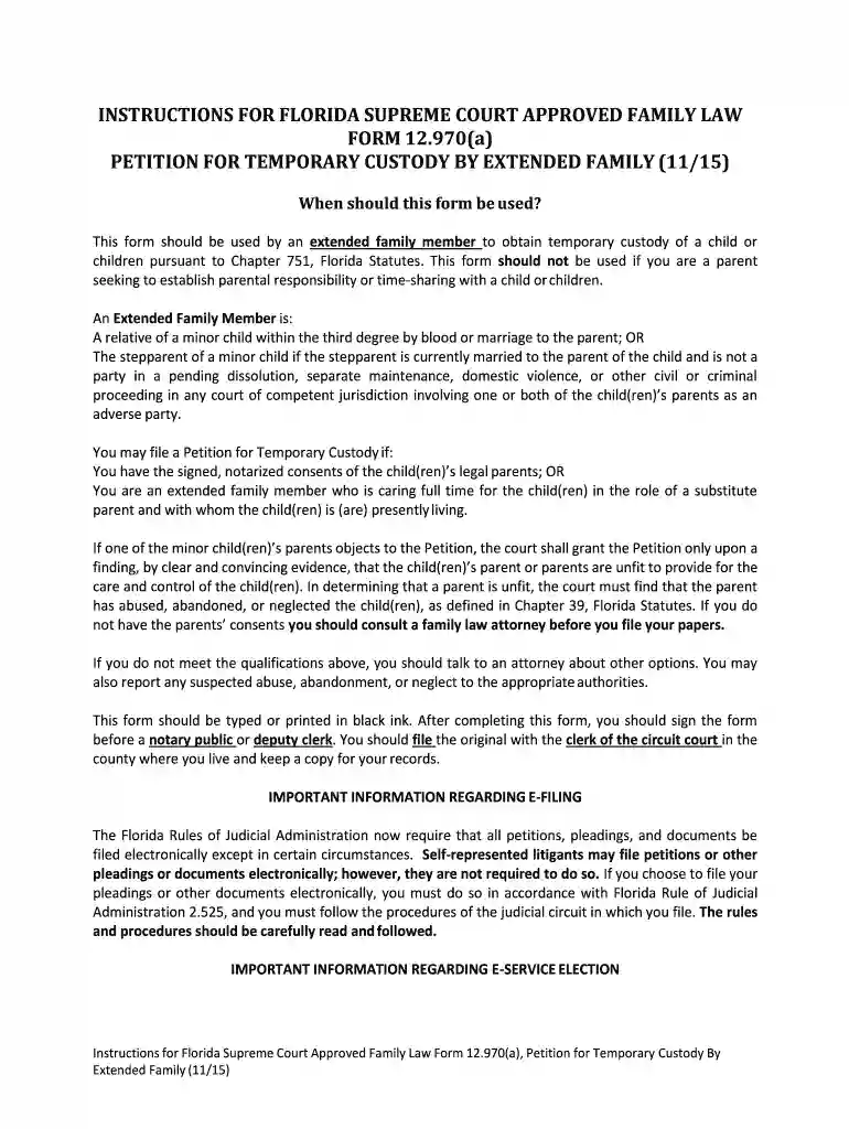 temporary custody florida Preview on Page 1