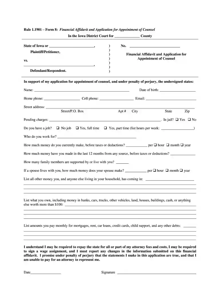 financial affidavit application Preview on Page 1