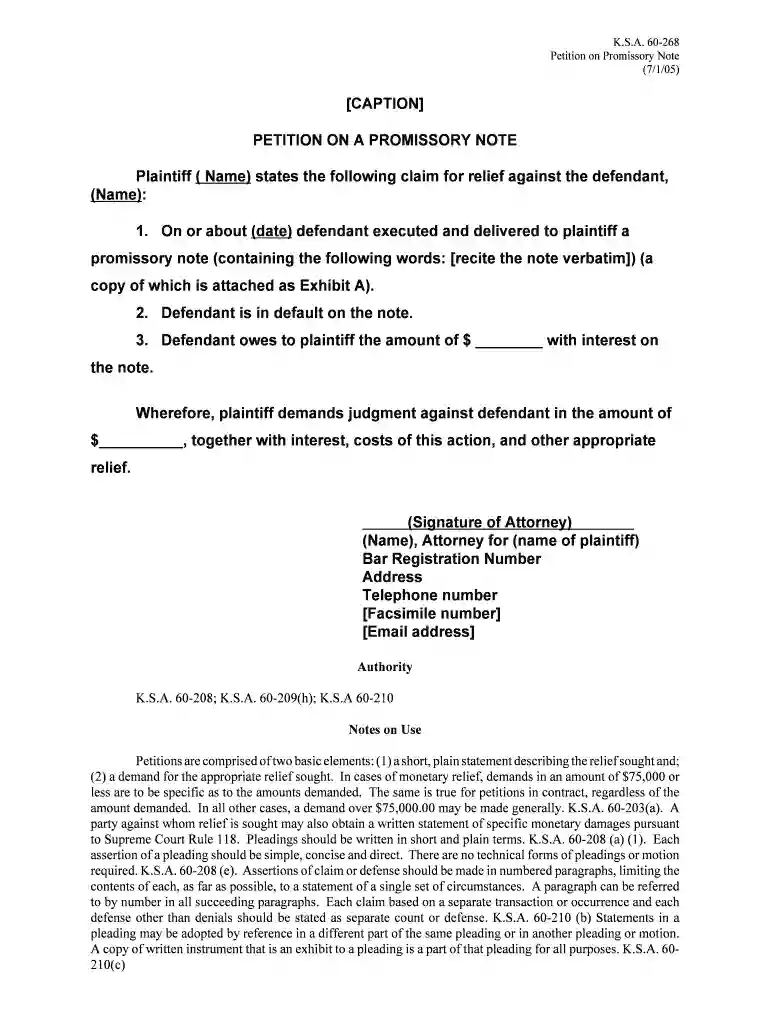 petition promissory note Preview on Page 1