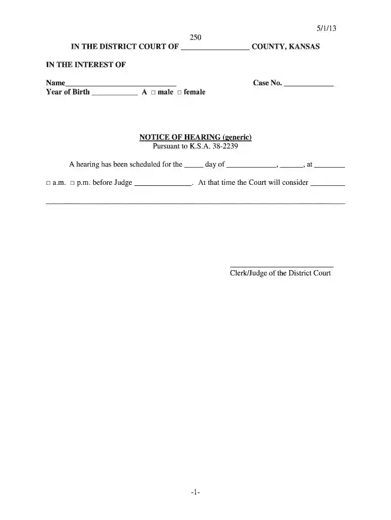 5 1 13 -1- 250 IN THE DISTRICT COURT OF - Kansas Judicial Council - kansasjudicialcouncil Preview on Page 1