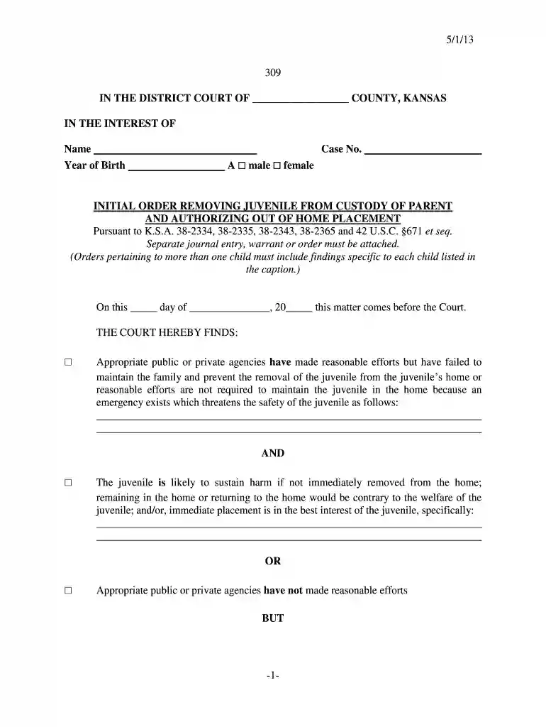 juvenile authorizing placement 309 Preview on Page 1