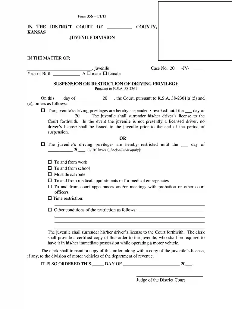 IN THE DISTRICT COURT OF COUNTY, KANSAS - kansasjudicialcouncil Preview on Page 1