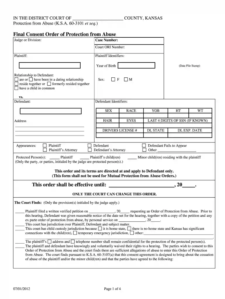 consent order abuse sample Preview on Page 1