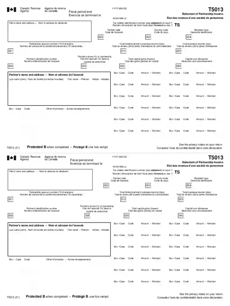 t5013 statement partnership income Preview on Page 1