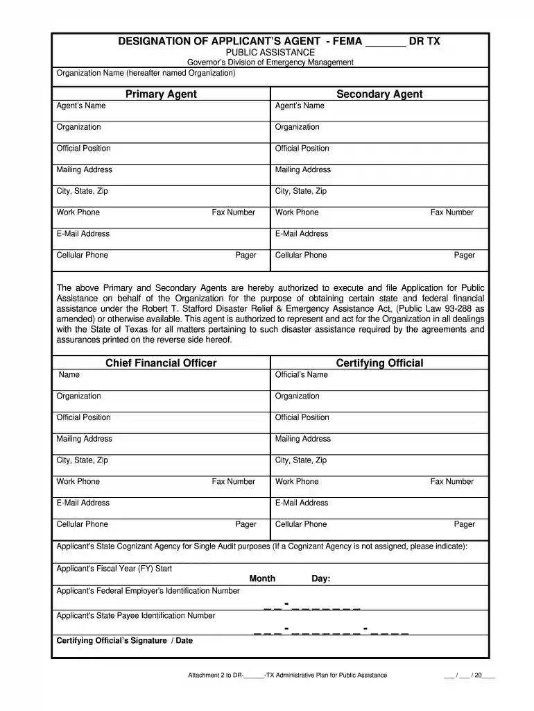designation agent fema form Preview on Page 1