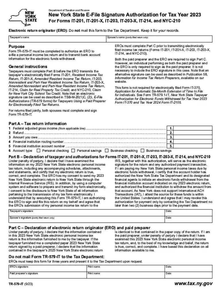 nyc e file authorization form Preview on Page 1