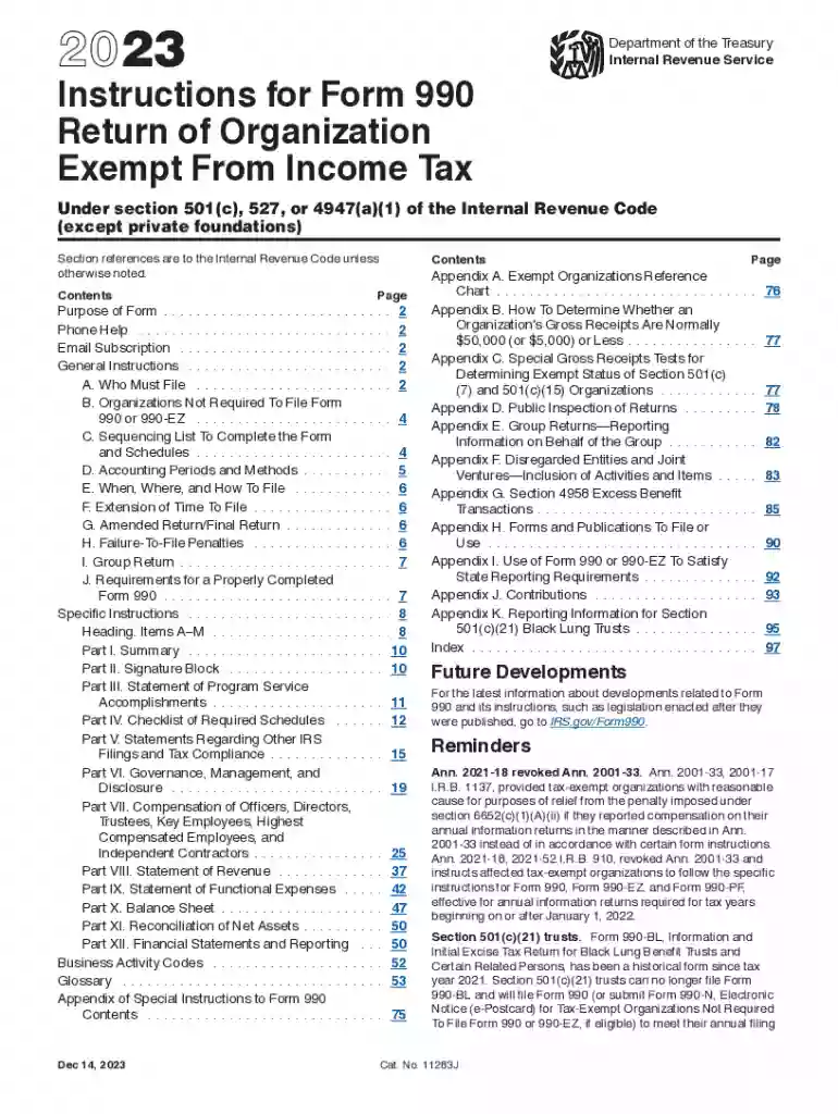 the form 990 Preview on Page 1