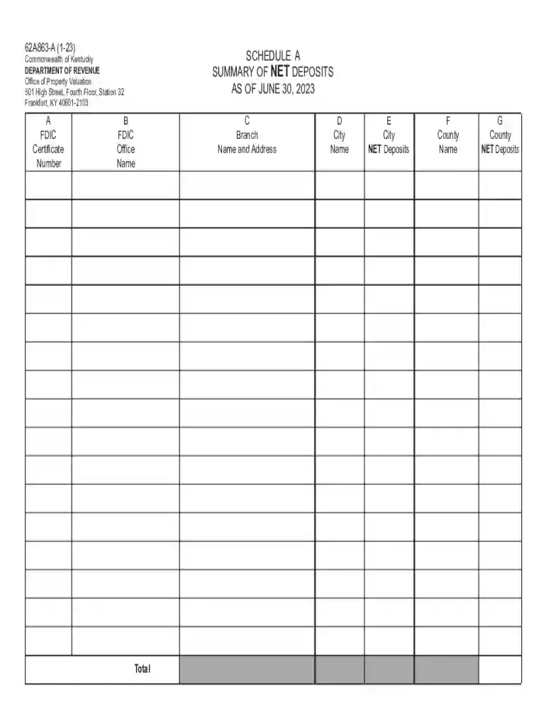 62a863 local deposit summary report Preview on Page 1