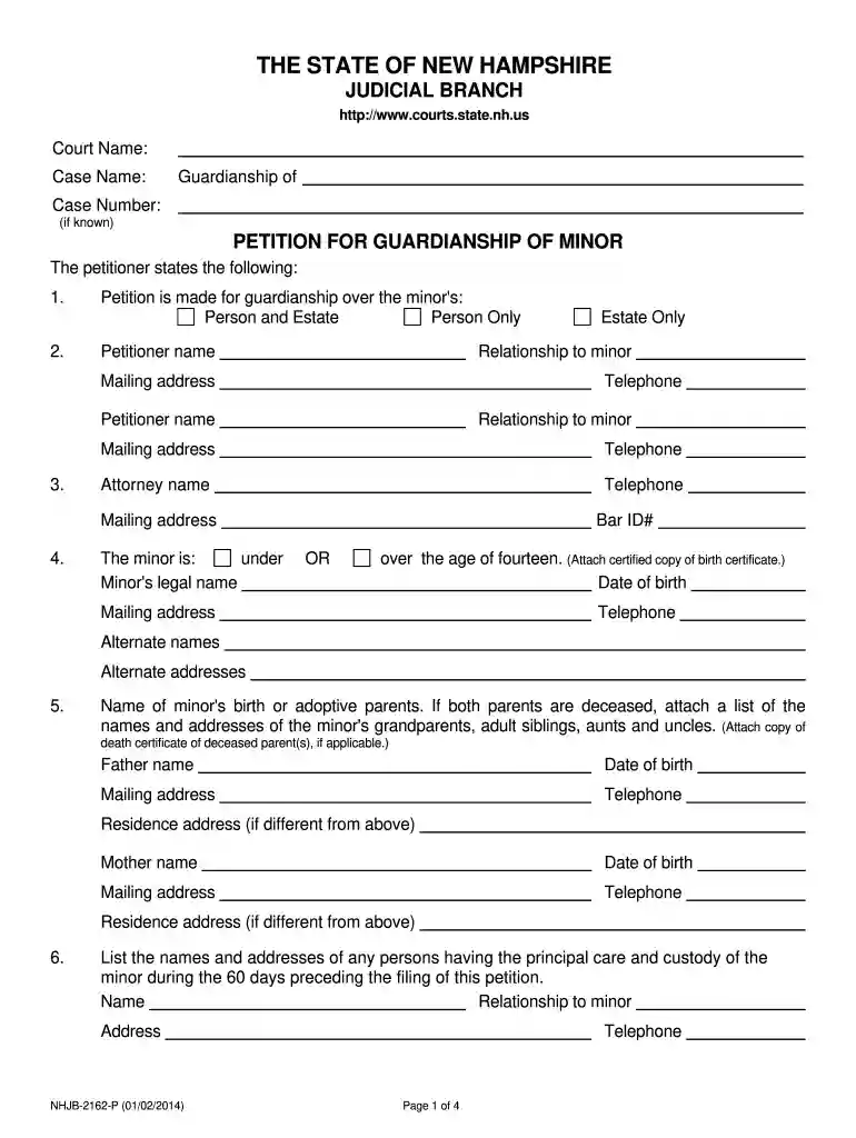 nh guardianship forms Preview on Page 1