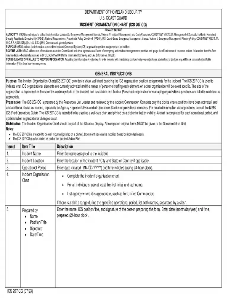 2023 dhs ics 207cg incident organization chart printable Preview on Page 1