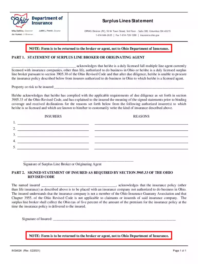 INS4024 Surplus Lines Statement Preview on Page 1