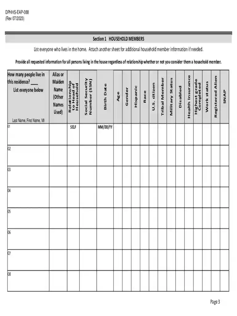 Low Income Energy Assistance Program (LIEAP) Application Preview on Page 1