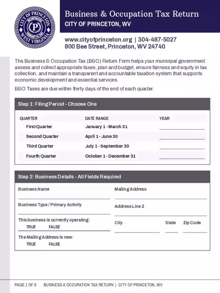 wv business tax return Preview on Page 1