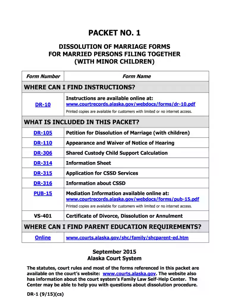 DR-1 Packet No 1 Dissolution of Marriage Domestic Relations Forms Preview on Page 1
