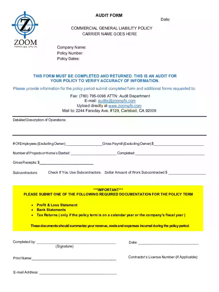 ca audit work Preview on Page 1