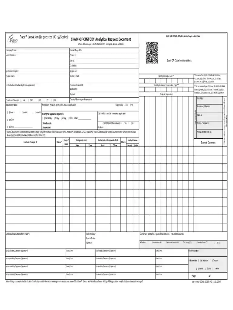 Formatted NEW Standardized COCv2a Preview on Page 1