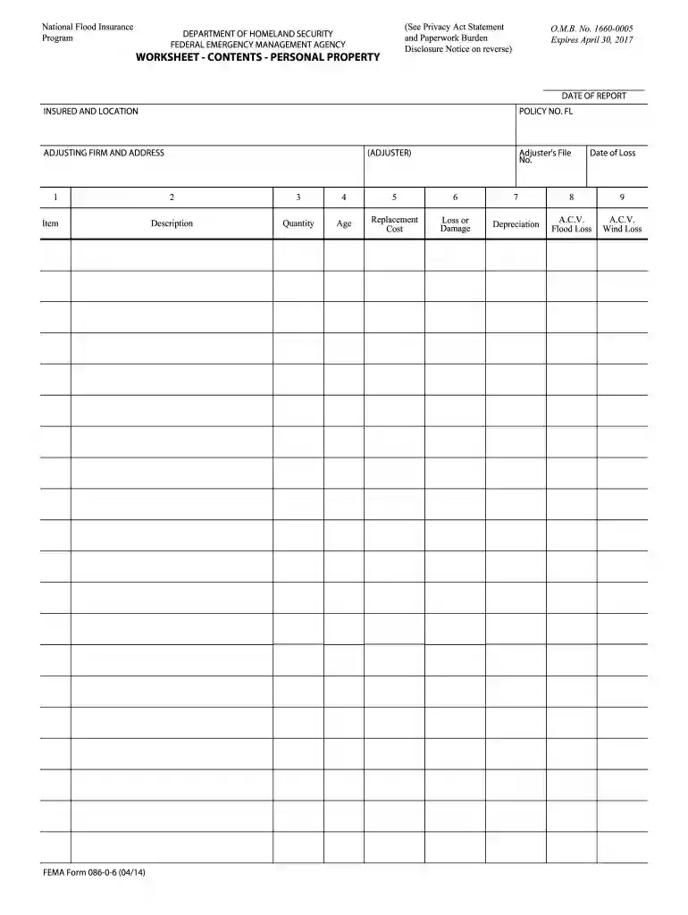 fema worksheet Preview on Page 1