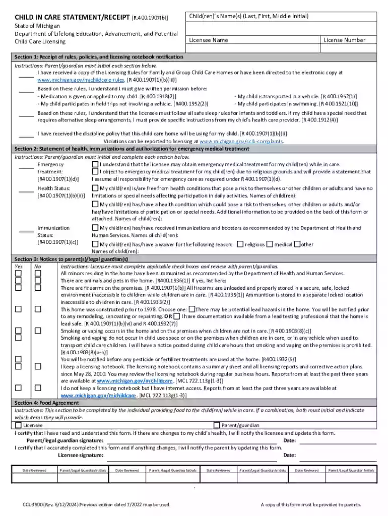 CHILD IN CARE STATEMENT RECEIPT R 400 1907(b) Preview on Page 1