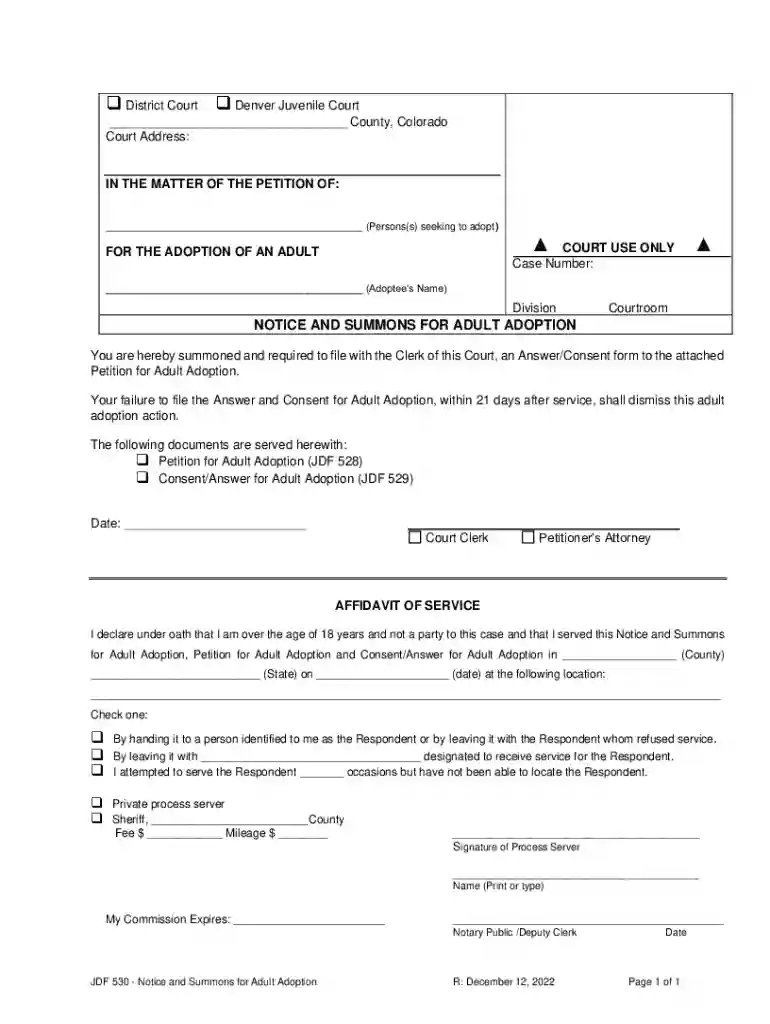 District Court Denver Juvenile Court Preview on Page 1
