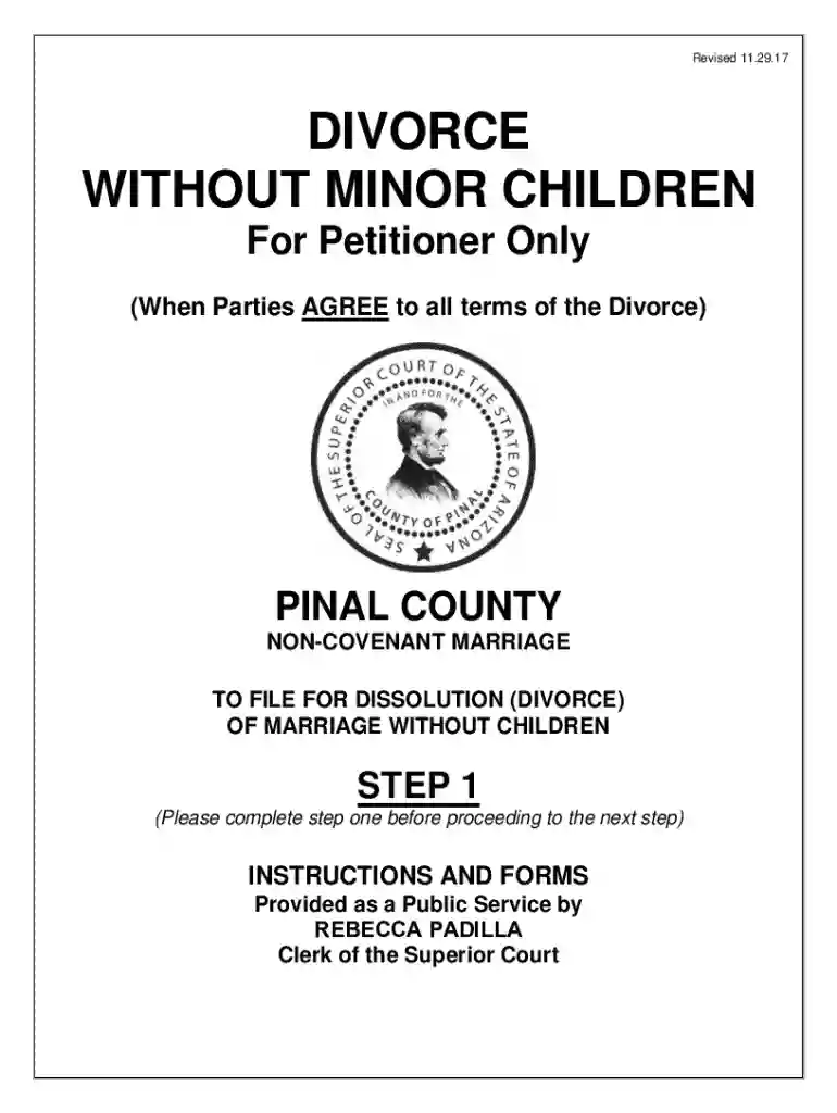 Rule 17 200Form 212: Joint Statement on Legal Parent Preview on Page 1
