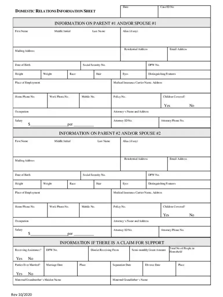 domestic relations information sheet Preview on Page 1