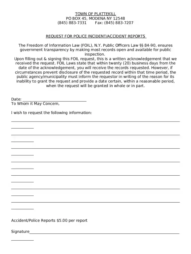 Accident Incident Form - Town of Plattekill Preview on Page 1