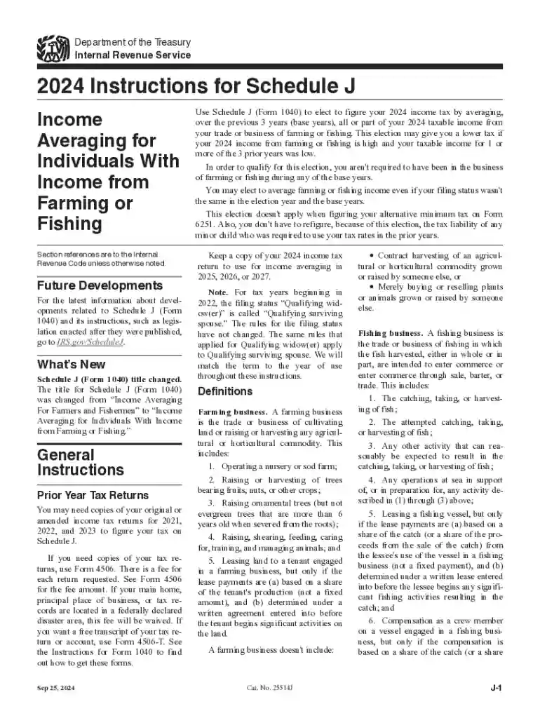 2024 Schedule J Form and Instructions - Income Tax Pro Preview on Page 1