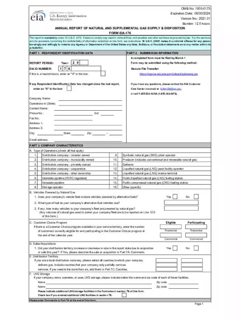 EIA-176 Annual Report of Natural and Supplemental Gas Preview on Page 1