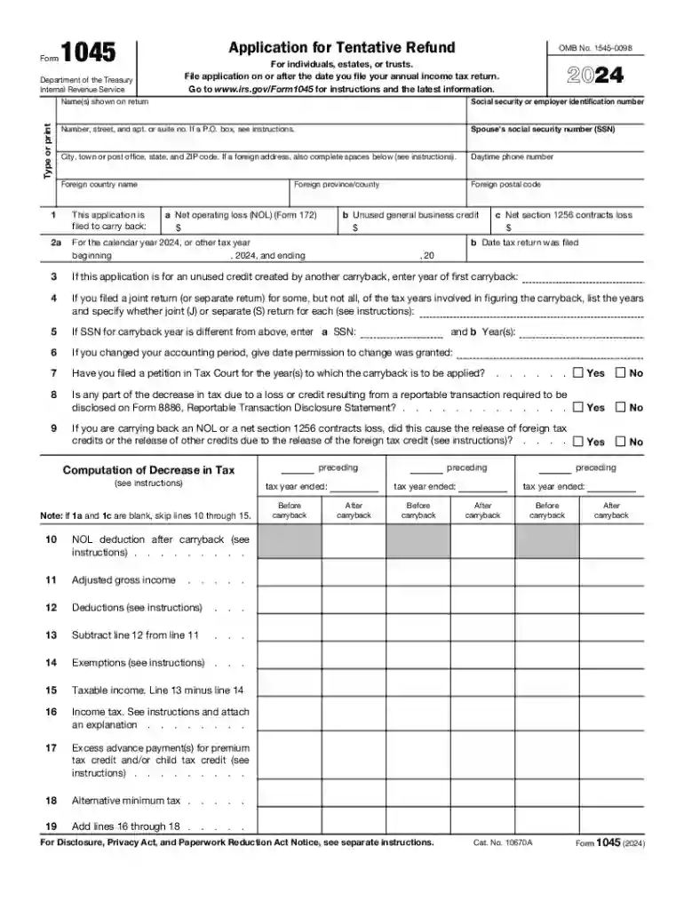form 1045 Preview on Page 1