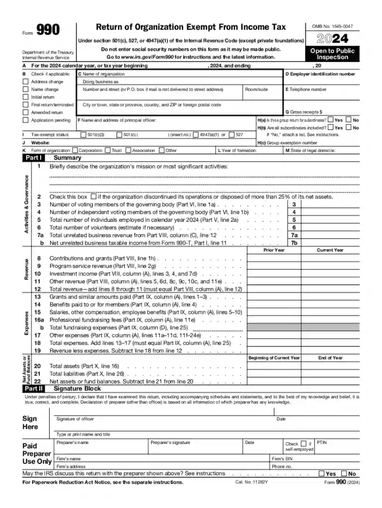 form 990 Preview on Page 1