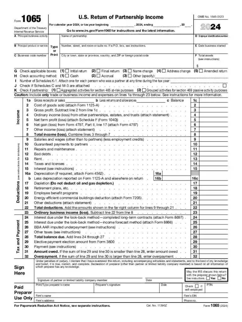 form 1065 Preview on Page 1