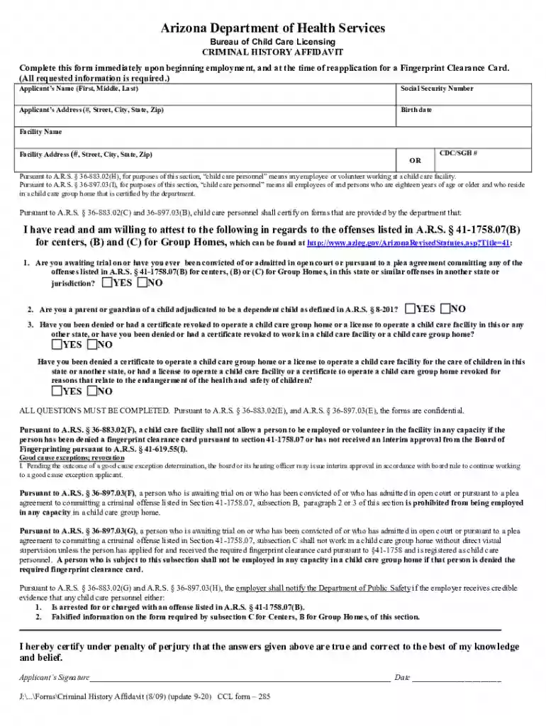 criminal history affidavit Preview on Page 1