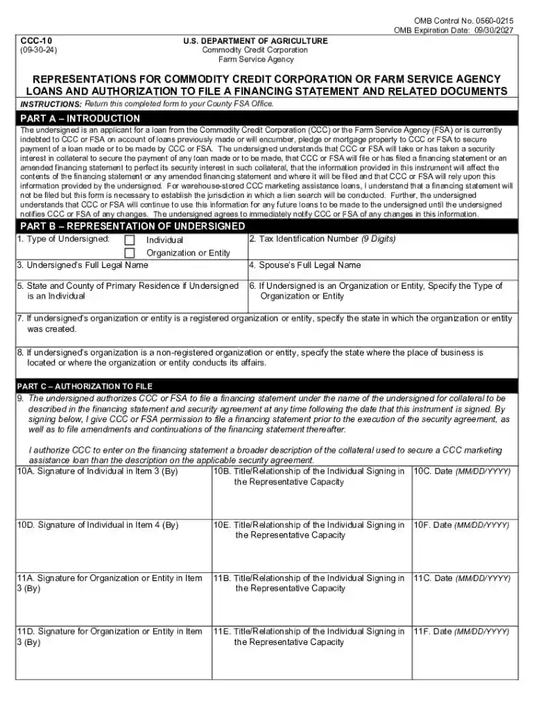 statement information Preview on Page 1