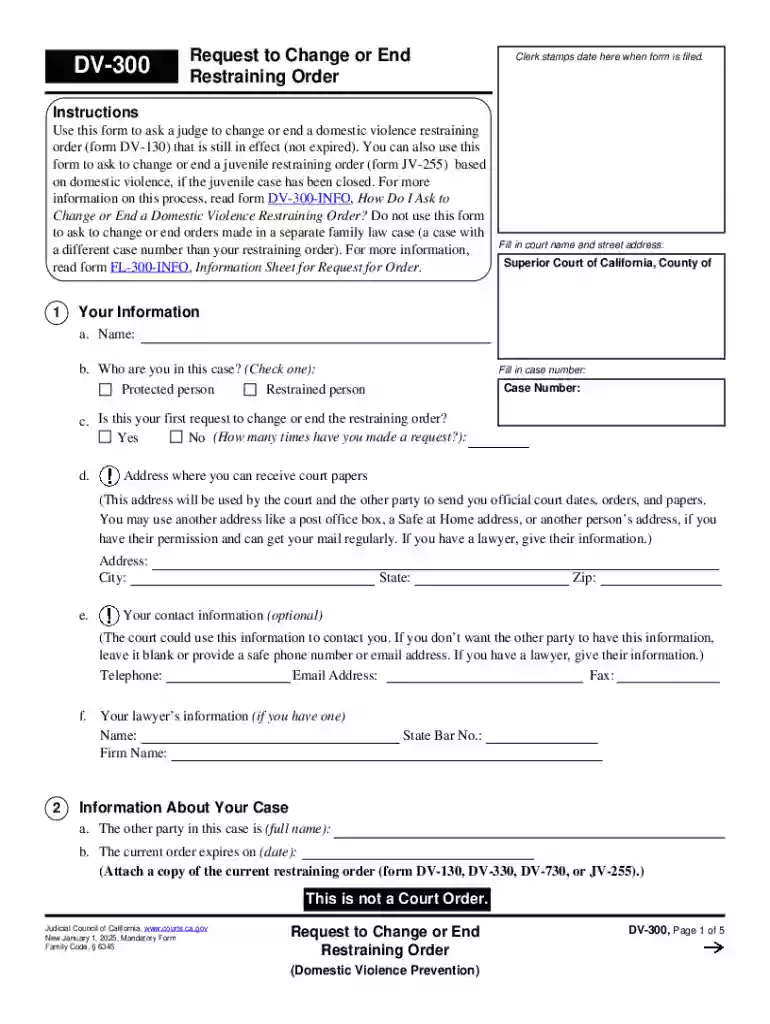 Dv-300 Preview on Page 1