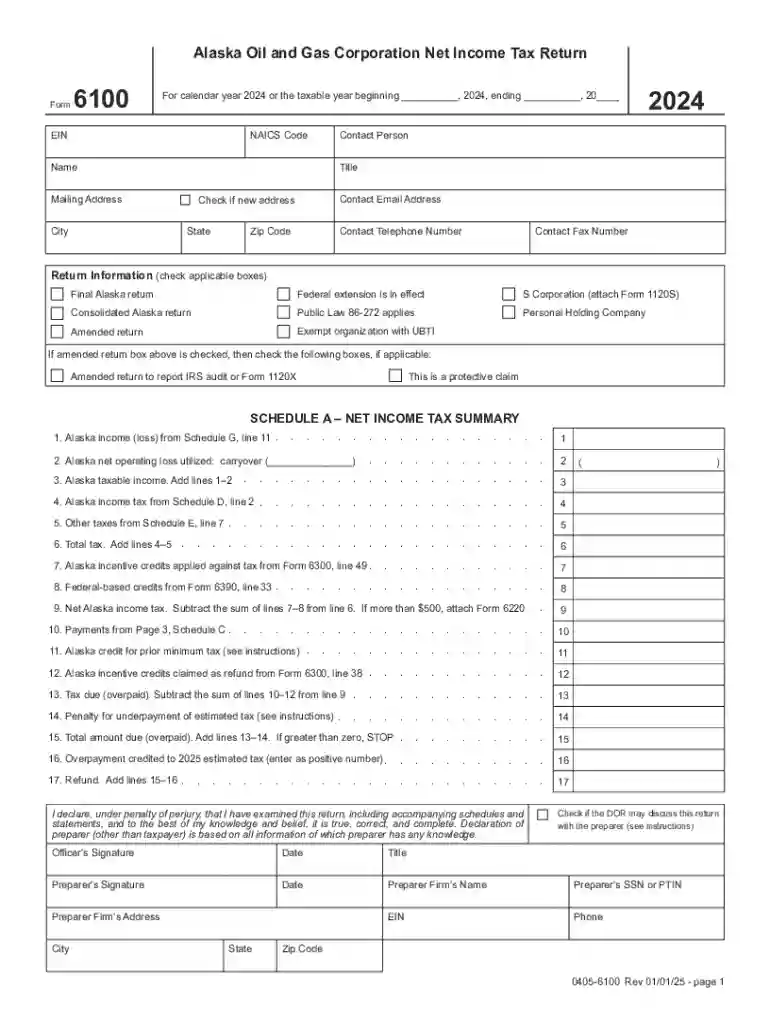 For calendar year 2024 or the taxable year beginning , 2024, ending , 20 Preview on Page 1