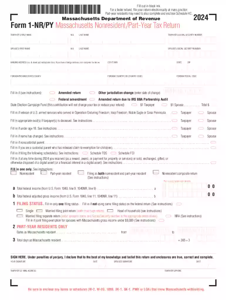 mass form 1 nr py fillable Preview on Page 1