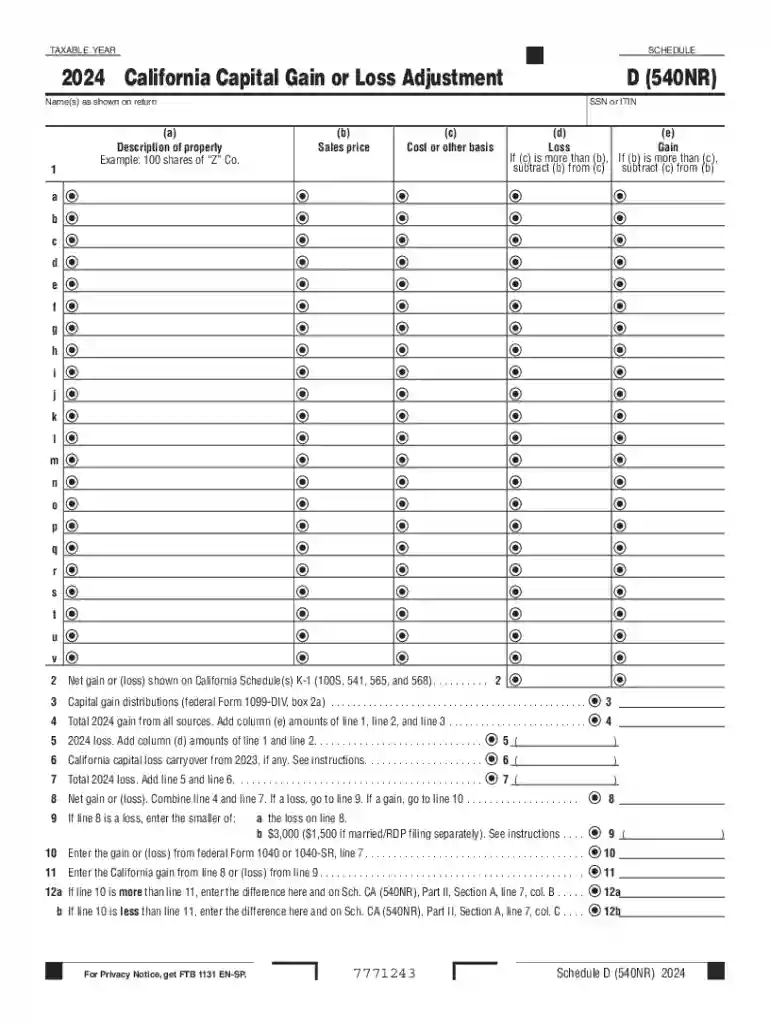 2024 SCHEDULE D (540NR) California Capital Gain or Loss Adjustment Preview on Page 1