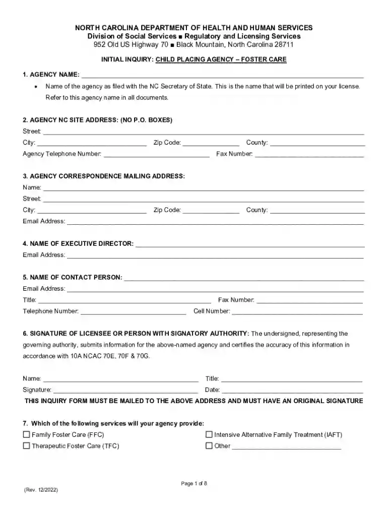 inquiry form: child placing agency-foster care Preview on Page 1