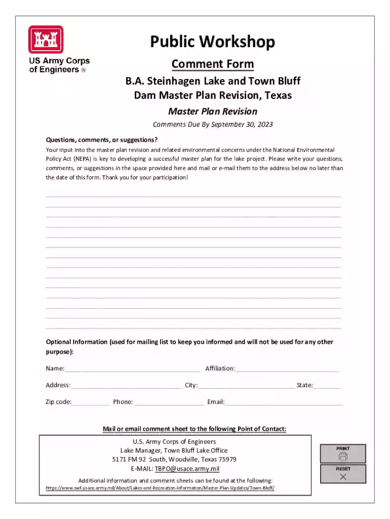 Comment Form Preview on Page 1