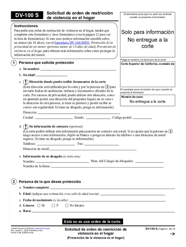 DV-100 S Preview on Page 1