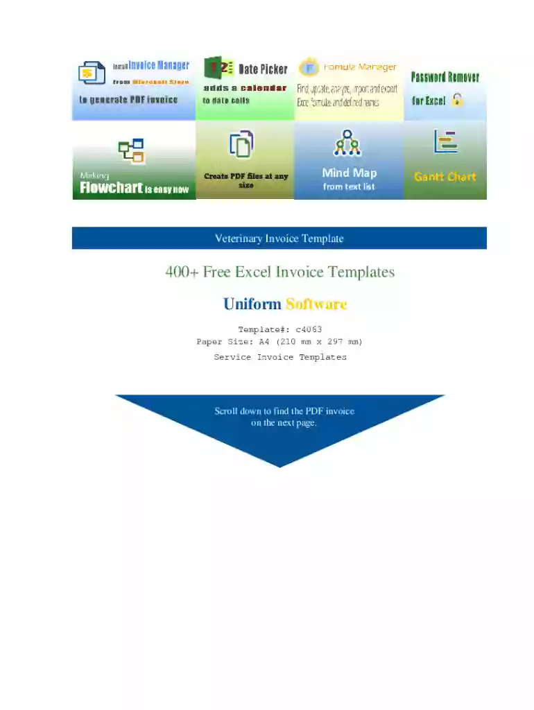 Veterinary Invoice Template Preview on Page 1