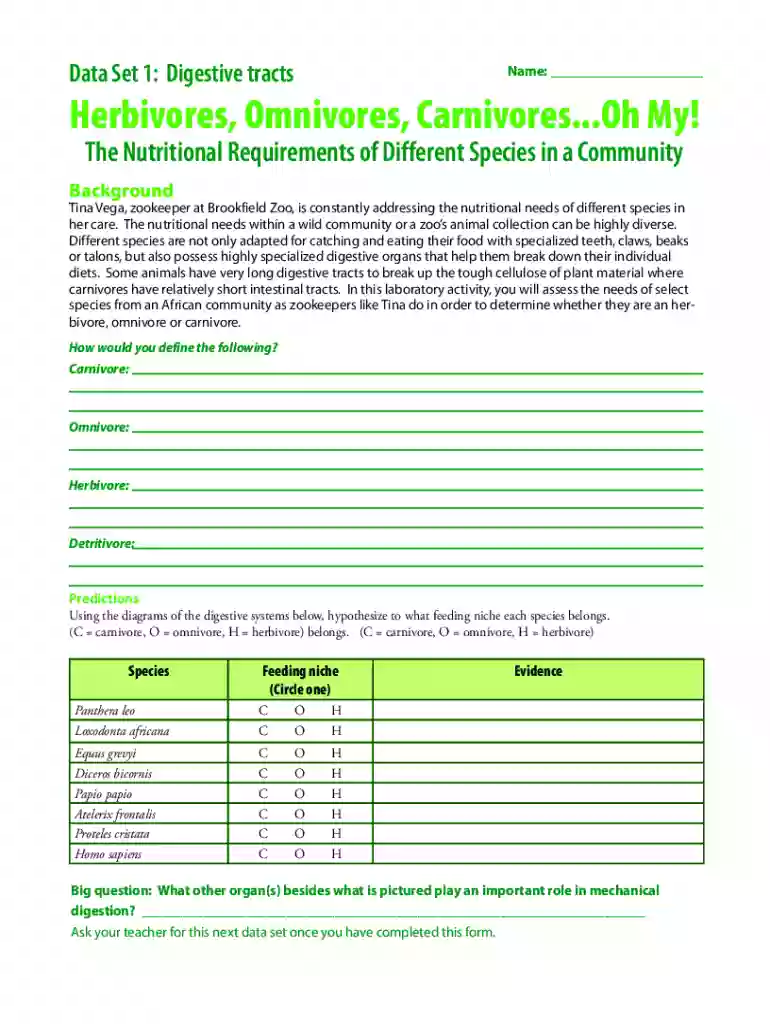 Herbivores Omnivores Carnivores Form Preview on Page 1