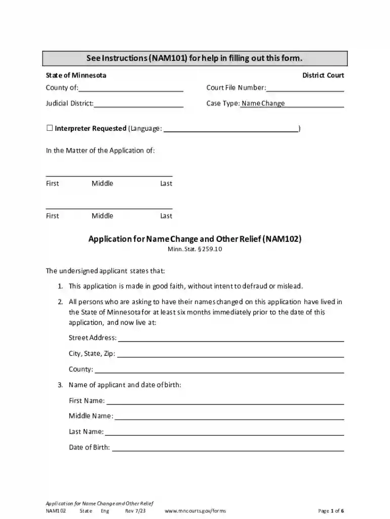 Application for Name Change and Other Relief (nam102) Preview on Page 1