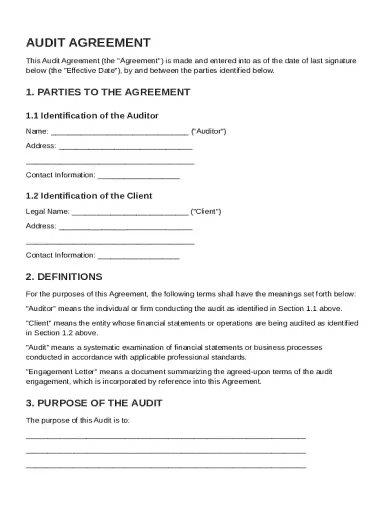 Audit Agreement Template Preview on Page 1