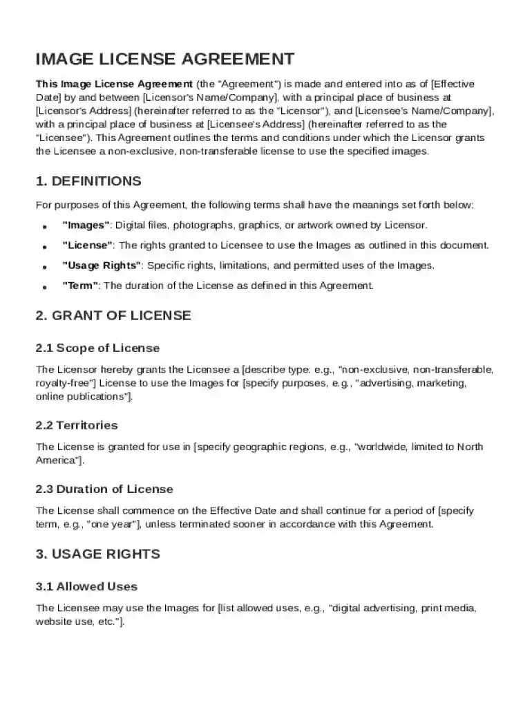 Image License Agreement Template Preview on Page 1