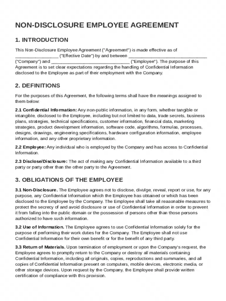 Non Disclosure Employee Agreement Template Preview on Page 1