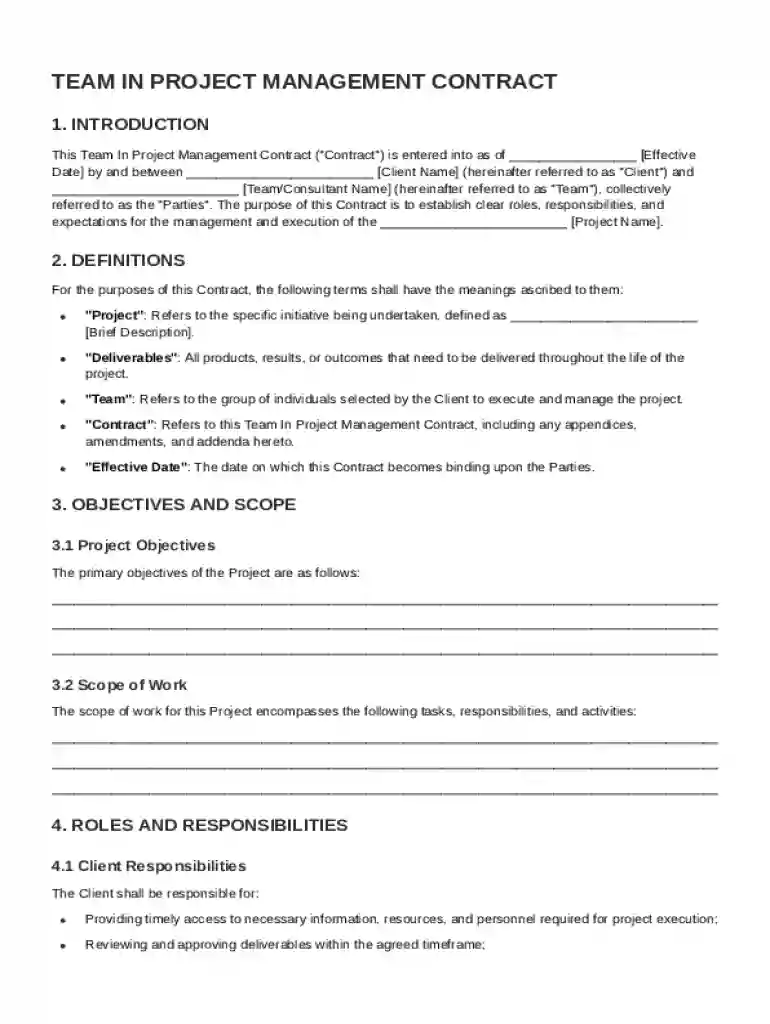 Team In Project Management Contract Template Preview on Page 1