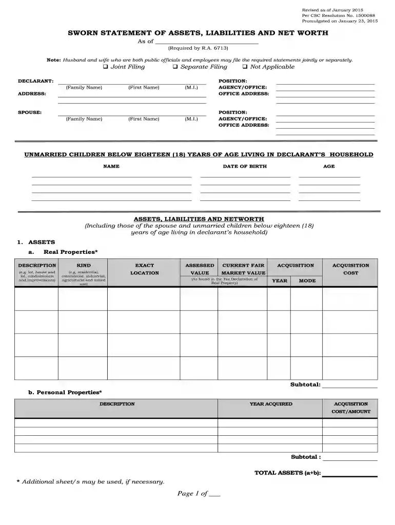 sworn statement assets liabilities Preview on Page 1