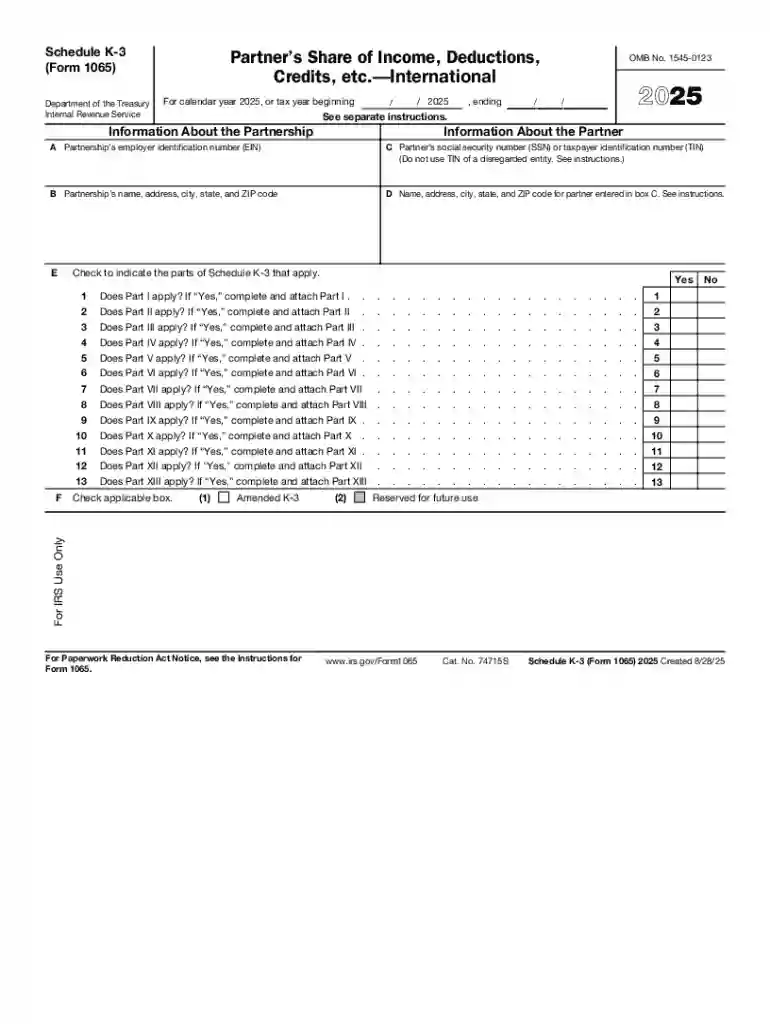 Schedule K-2 and K-3 of Form 1065 US Return of Partnership Preview on Page 1